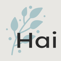 HAIYING CO.